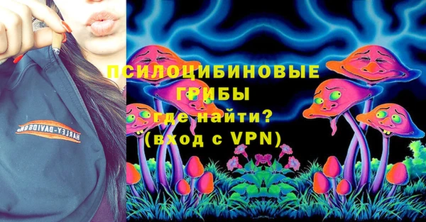 прущие крисы Арсеньев