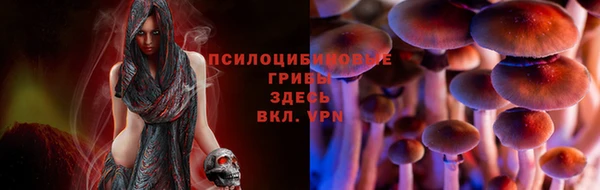 прущие крисы Балабаново