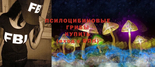 прущие крисы Арсеньев