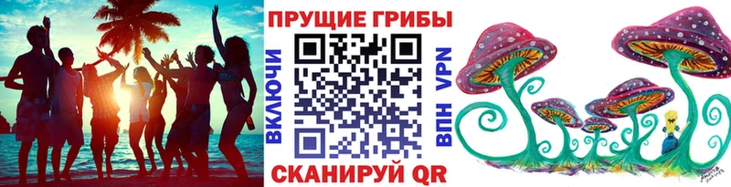 Псилоцибиновые грибы MAGIC MUSHROOMS  блэк спрут ссылки  Кашин 