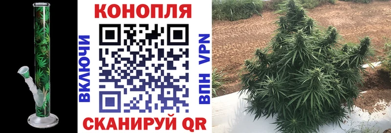 Каннабис планчик  OMG сайт  Кашин 